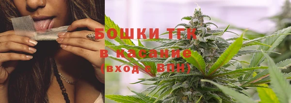 мдпв Осинники