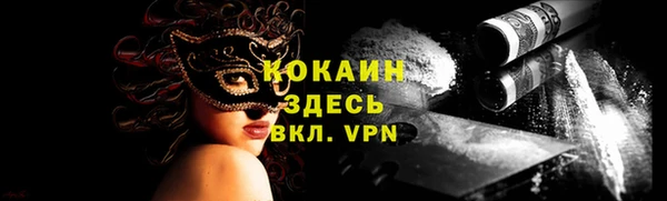 мдпв Осинники