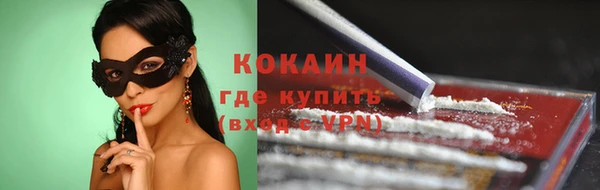 мдпв Осинники