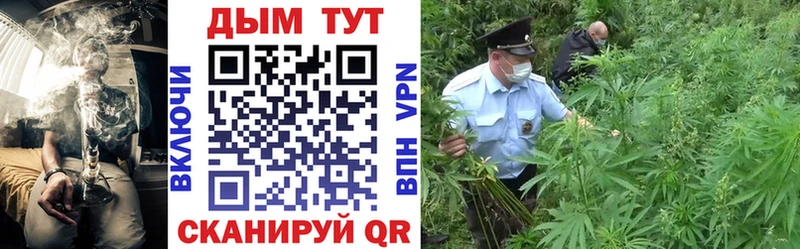 Конопля OG Kush  kraken tor  Ленск 